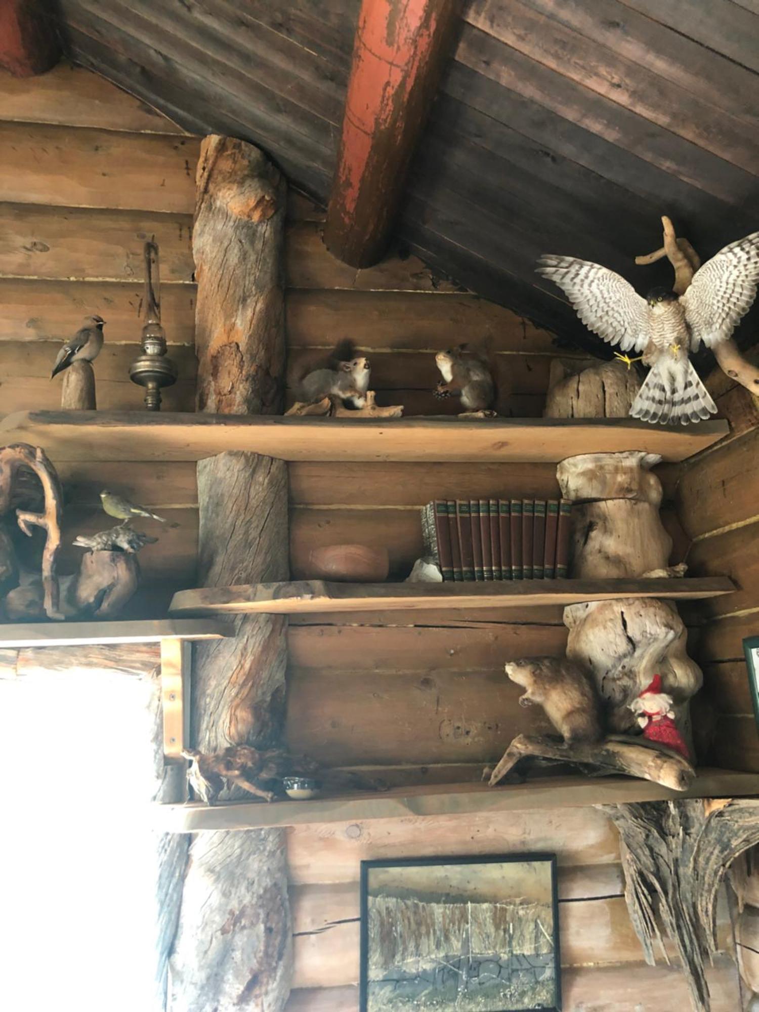 Hotel Pasvik Taiga Skogfoss Zewnętrze zdjęcie